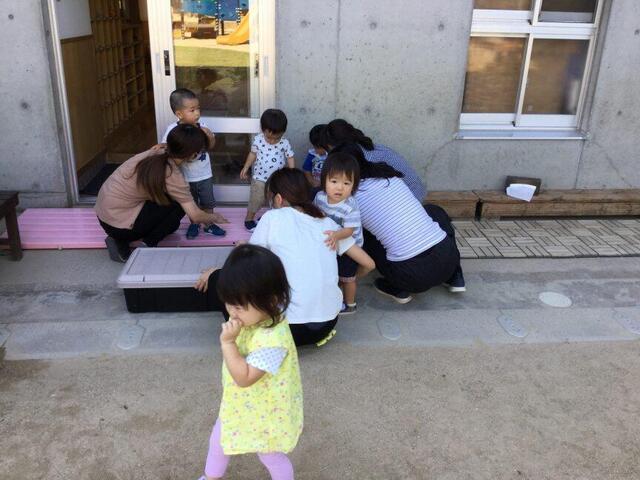 避難訓練【地震】（本園）