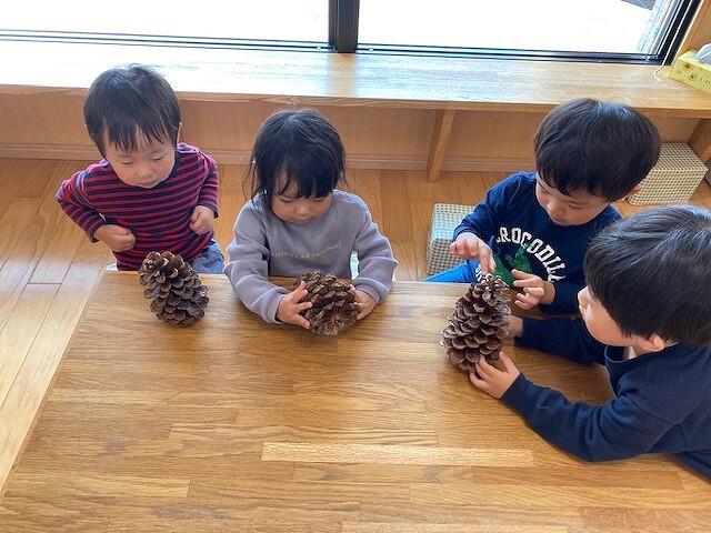 まつぼっくり（分園うめ）