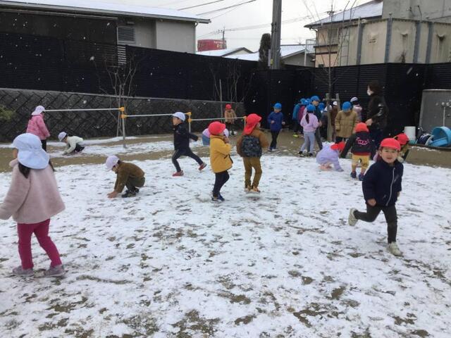 雪あそび(本園 年長)