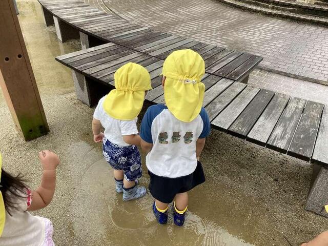 雨上がりの散歩（分園）