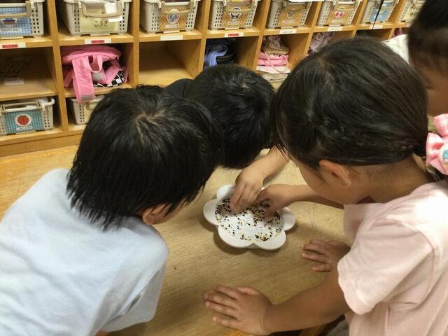 雑穀ごはん(本園 年長)