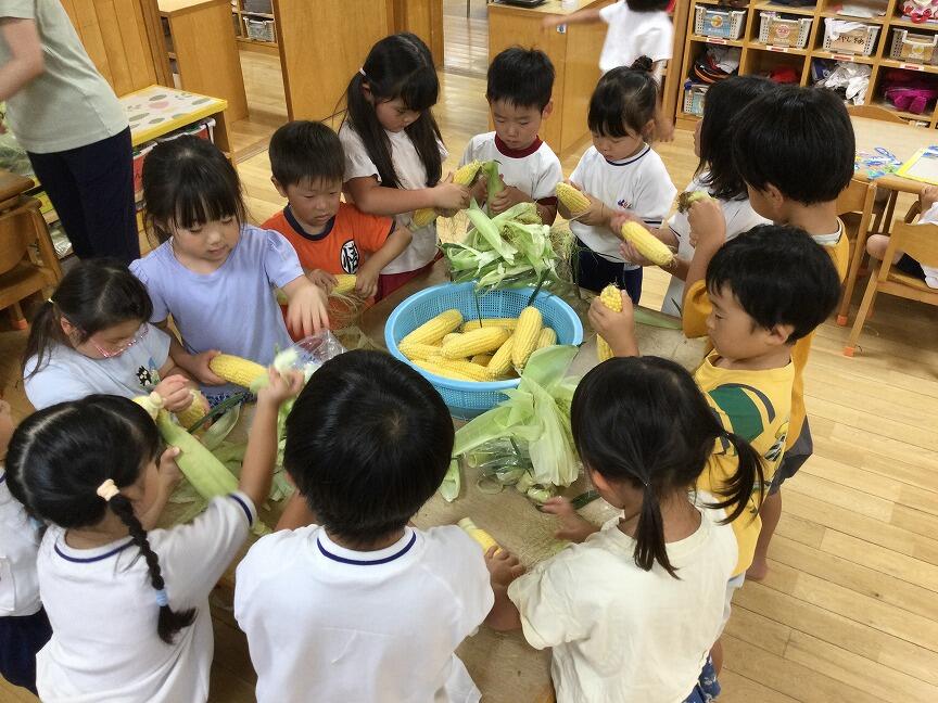 とうもろこしの皮むき(本園 年長)
