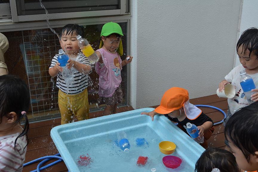 blog-DSC_0655.jpg