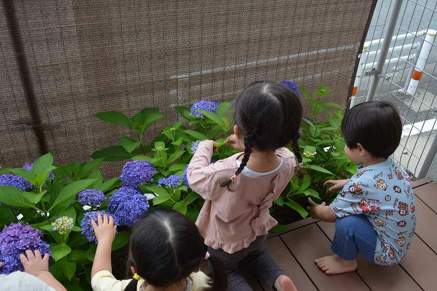 blog-DSC_0883.jpg