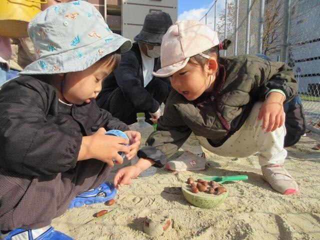 「どんぐりケーキ」(分園)