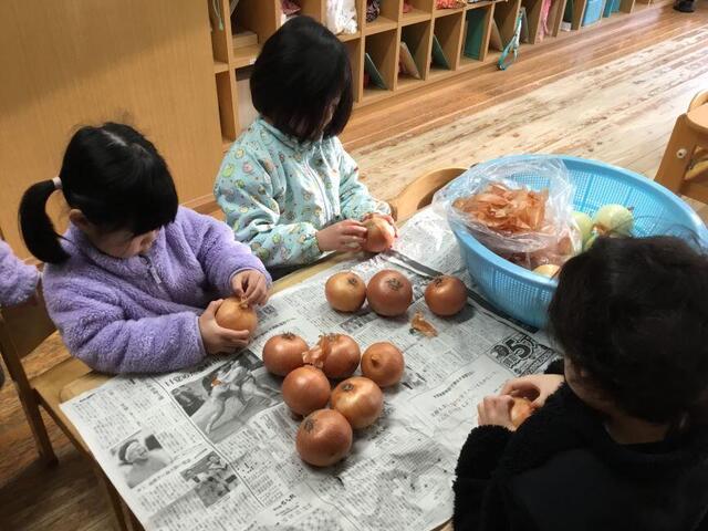 「野菜の皮むき」（本園　わらび組）