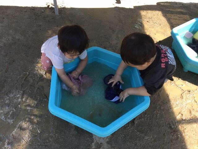 じゃぶじゃぶお洗濯(本園：うめ１)