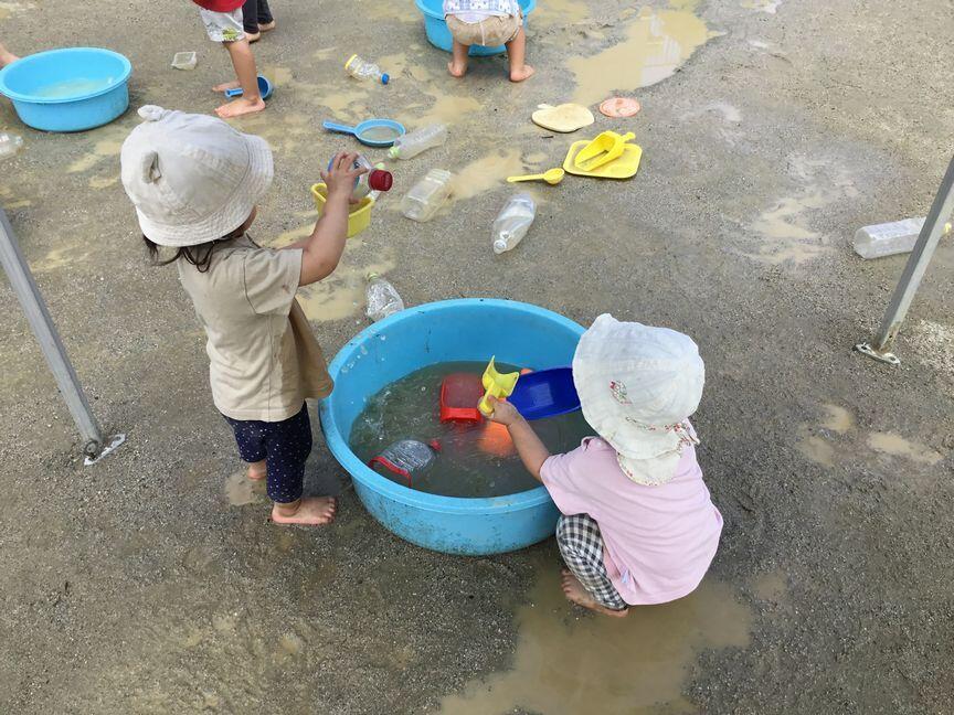 梅雨明けしました。（本園）