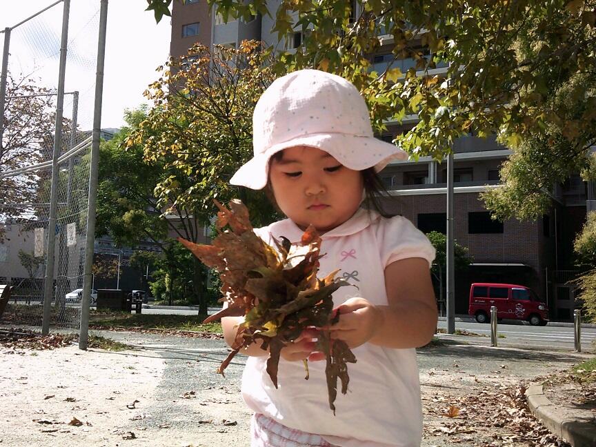 公園の落ち葉を拾いました。　（分園）