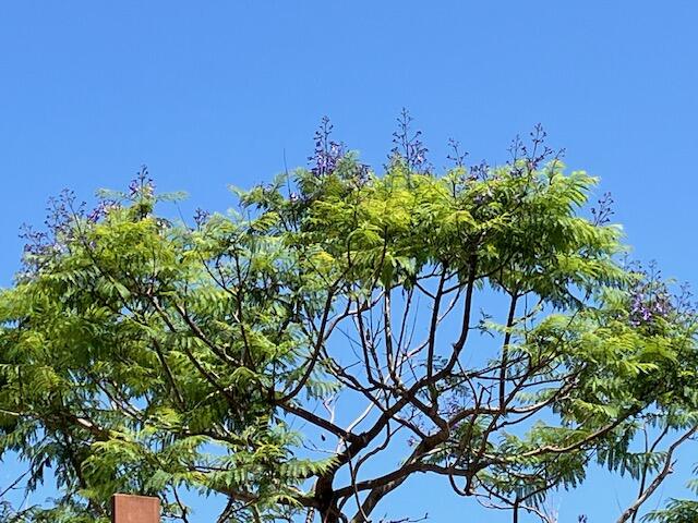IMG_1756.jpg
